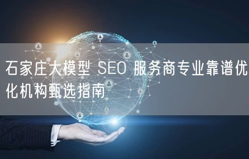 石家庄大模型 SEO 服务商专业靠谱优化机构甄选指南