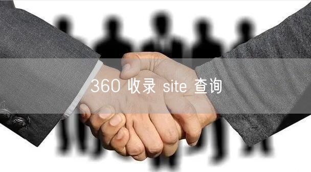 360 收录 site 查询