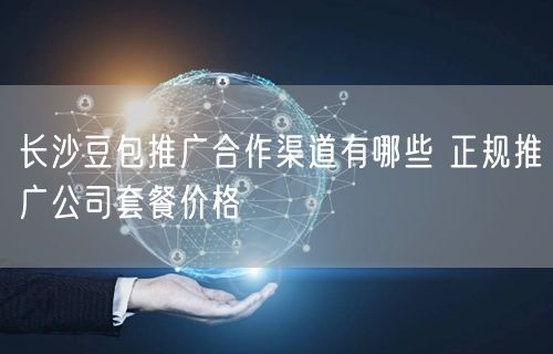 长沙豆包推广合作渠道有哪些 正规推广公司套餐价格