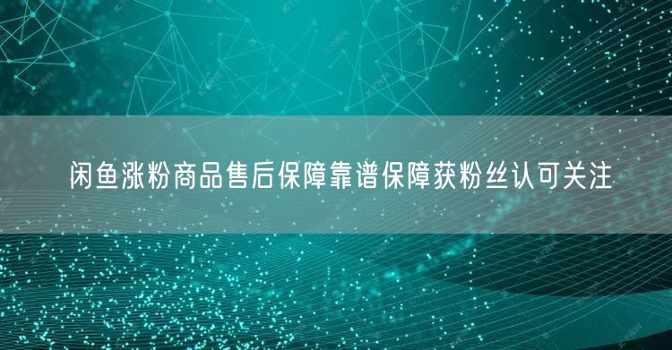 闲鱼涨粉商品售后保障靠谱保障获粉丝认可关注