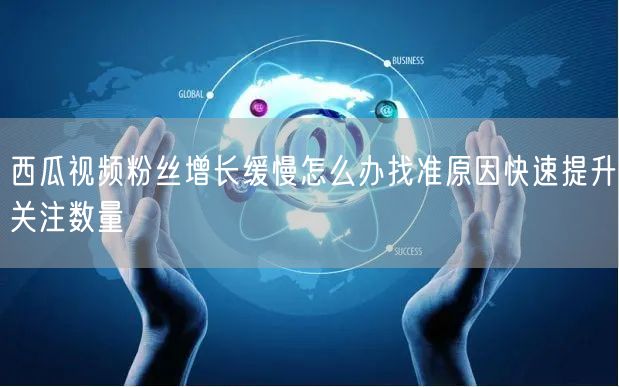 西瓜视频粉丝增长缓慢怎么办找准原因快速提升关注数量
