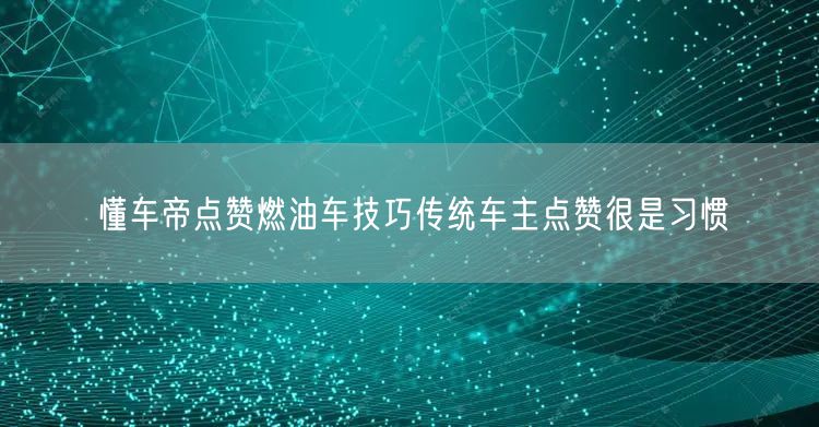 懂车帝点赞燃油车技巧传统车主点赞很是习惯