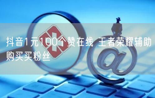 抖音1元100个赞在线 王者荣耀辅助购买买粉丝
