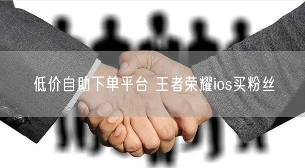 低价自助下单平台 王者荣耀ios买粉丝