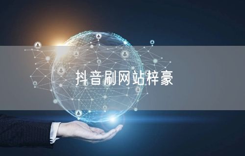 抖音刷网站梓豪
