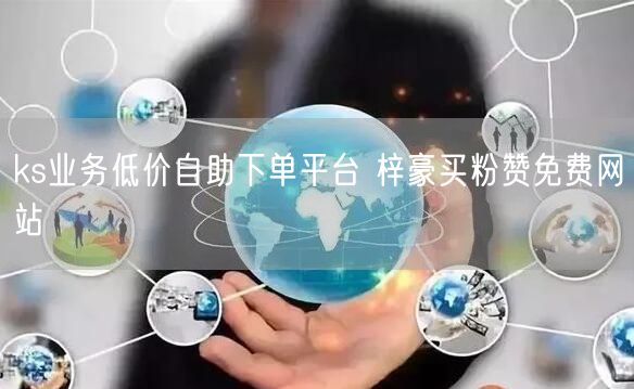 ks业务低价自助下单平台 梓豪买粉赞免费网站