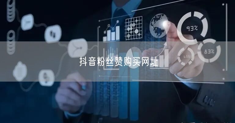 抖音粉丝赞购买网址