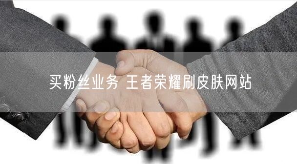 买粉丝业务 王者荣耀刷皮肤网站