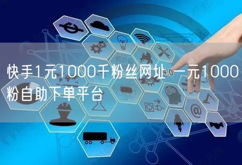 快手1元1000千粉丝网址 一元1000粉自助下单平台
