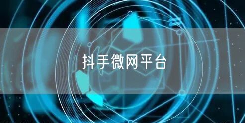 抖手微网平台