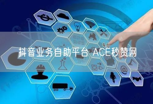 抖音业务自助平台 ACE秒赞网
