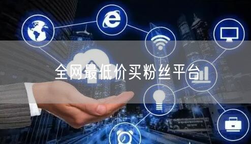 全网最低价买粉丝平台