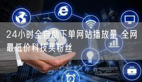 24小时全自助下单网站播放量 全网最低价科技买粉丝