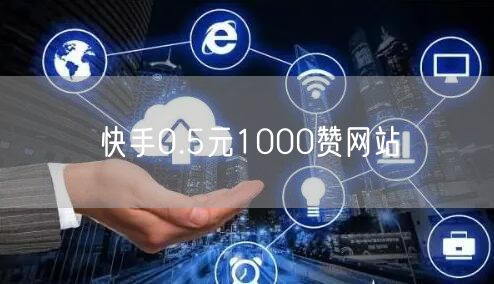 快手0.5元1000赞网站
