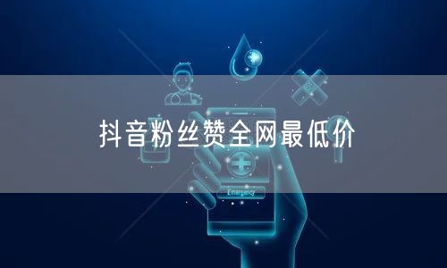 抖音粉丝赞全网最低价