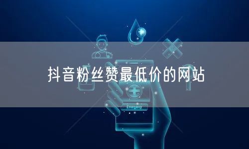 抖音粉丝赞最低价的网站
